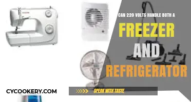 Can a 220-Volt Circuit Power Your Freezer and Fridge Simultaneously?