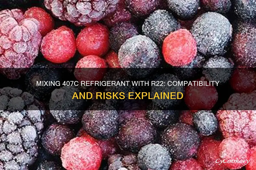 can 407c refrigerant be mixed with r22