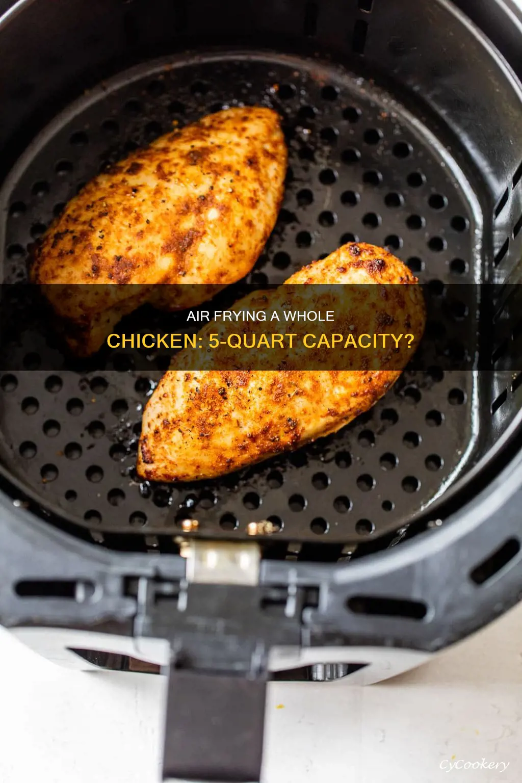 can 5 quart air fryer fit a chicken