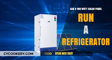 Can a 100-Watt Solar Panel Power Your Refrigerator Efficiently?