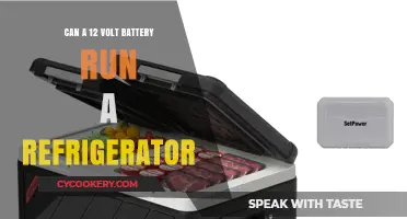 Powering Your Fridge: Can a 12V Battery Keep It Running?