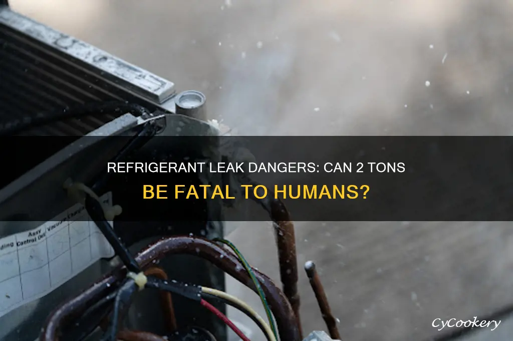 can a 2 ton refrigerant leak kill a person