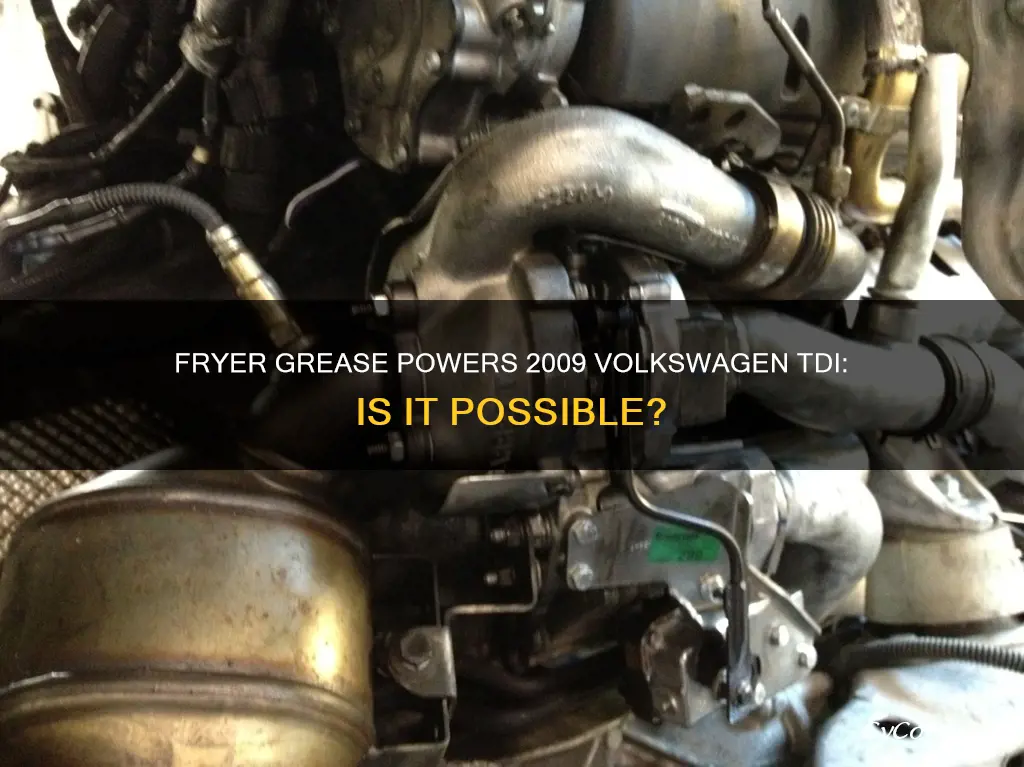 can a 2009 volkswagen tdi run on fryer grease