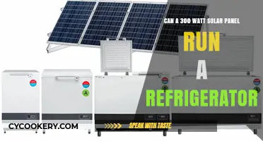 Can a 300 Watt Solar Panel Power Your Fridge Efficiently?