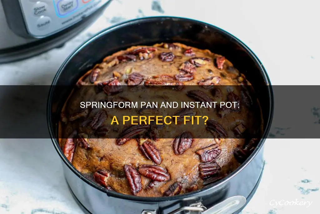 can a 8 springform pan fit 6qt instant pot