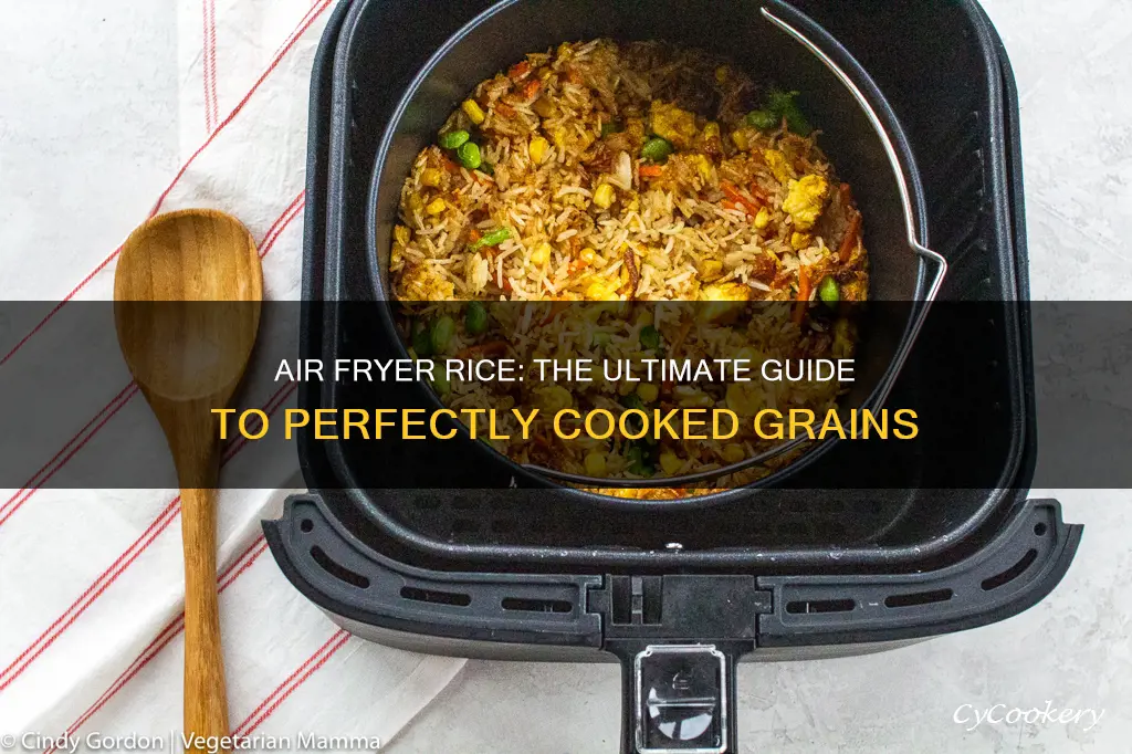 can a air fryer cook rice