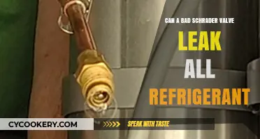Can a Faulty Schrader Valve Cause Complete Refrigerant Loss?