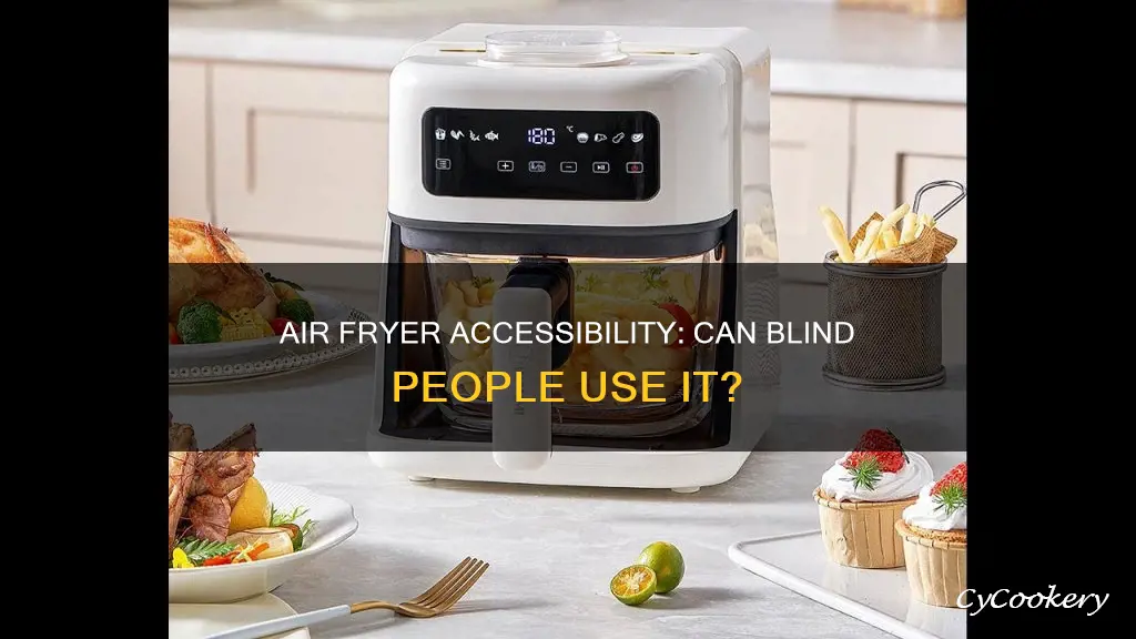 can a blind person use a phillips air fryer