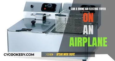 Can You Bring an Electric Fryer on a Plane?