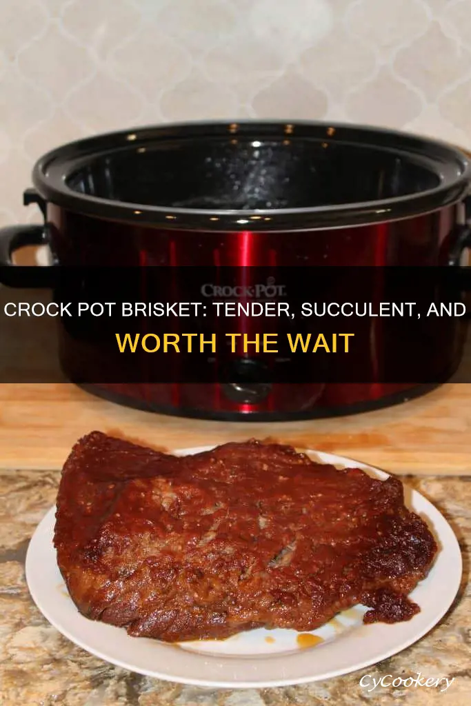 can a brisket be cooked in a crock pot