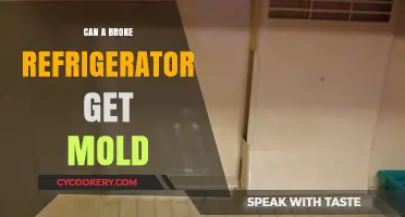 Can a Broken Refrigerator Cause Mold? Prevention and Risks Explained