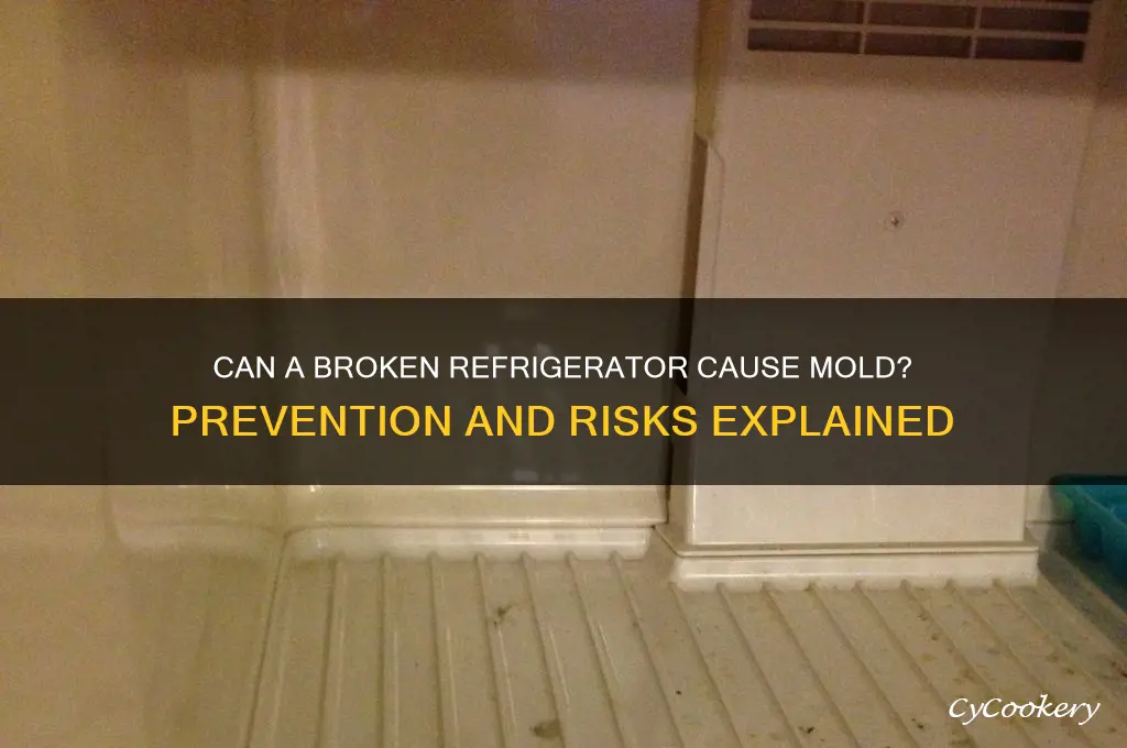 can a broke refrigerator get mold
