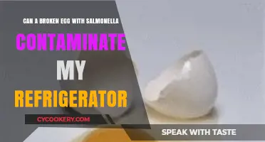 Salmonella Risk: Can a Broken Egg Contaminate Your Fridge?