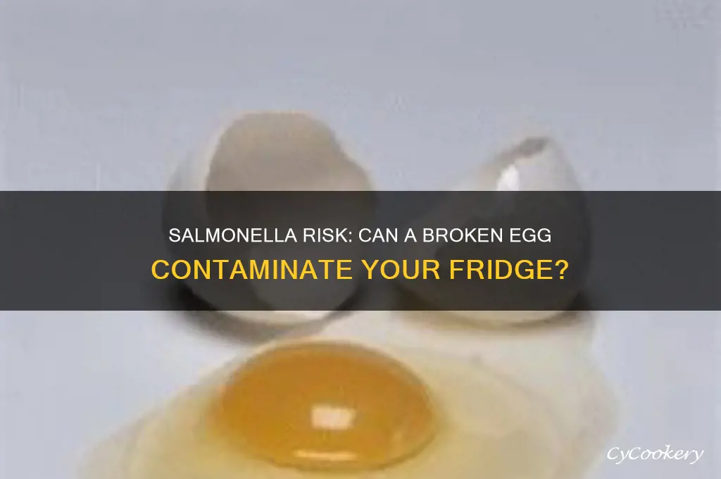 can a broken egg with salmonella contaminate my refrigerator