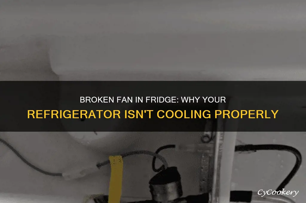 can a broken fan cause a refrigerator to not cool