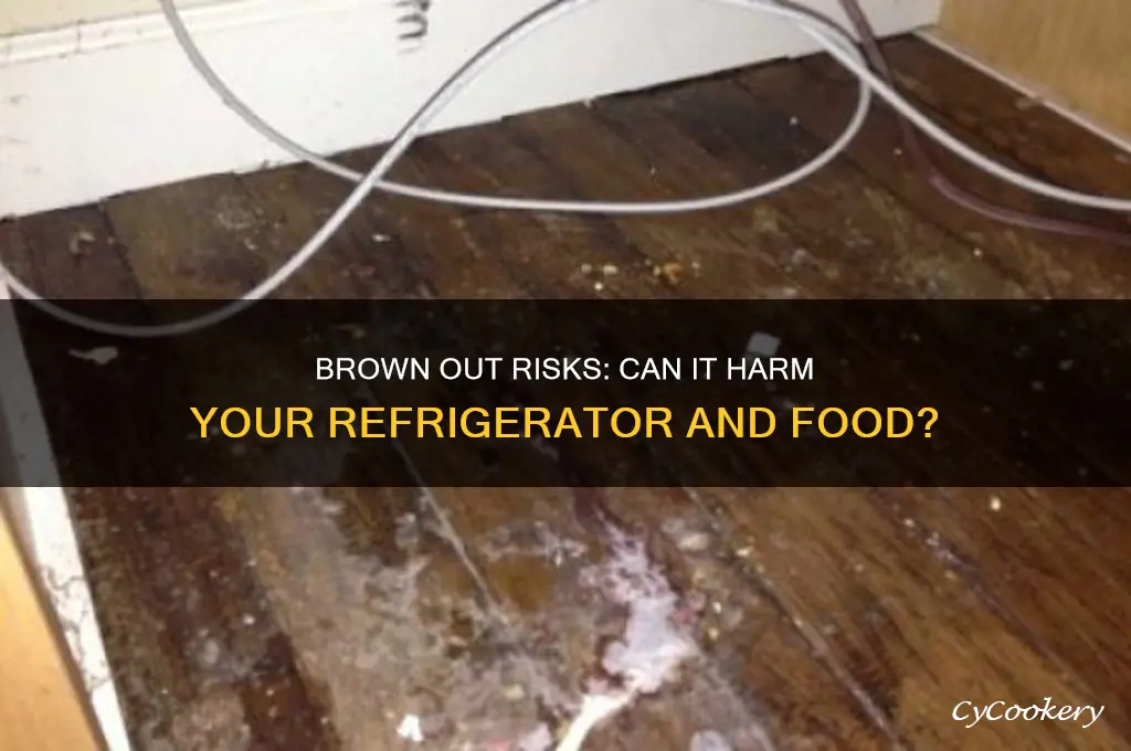 can a brown out damage refrigerator