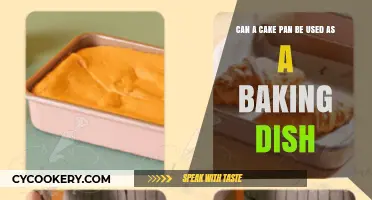 Cake Pans: Substitute for Baking Dishes?