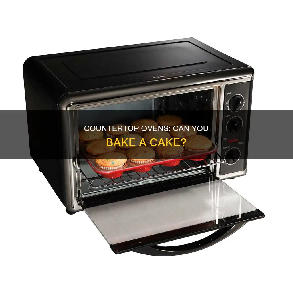 can a cake pan be used in a counteroven