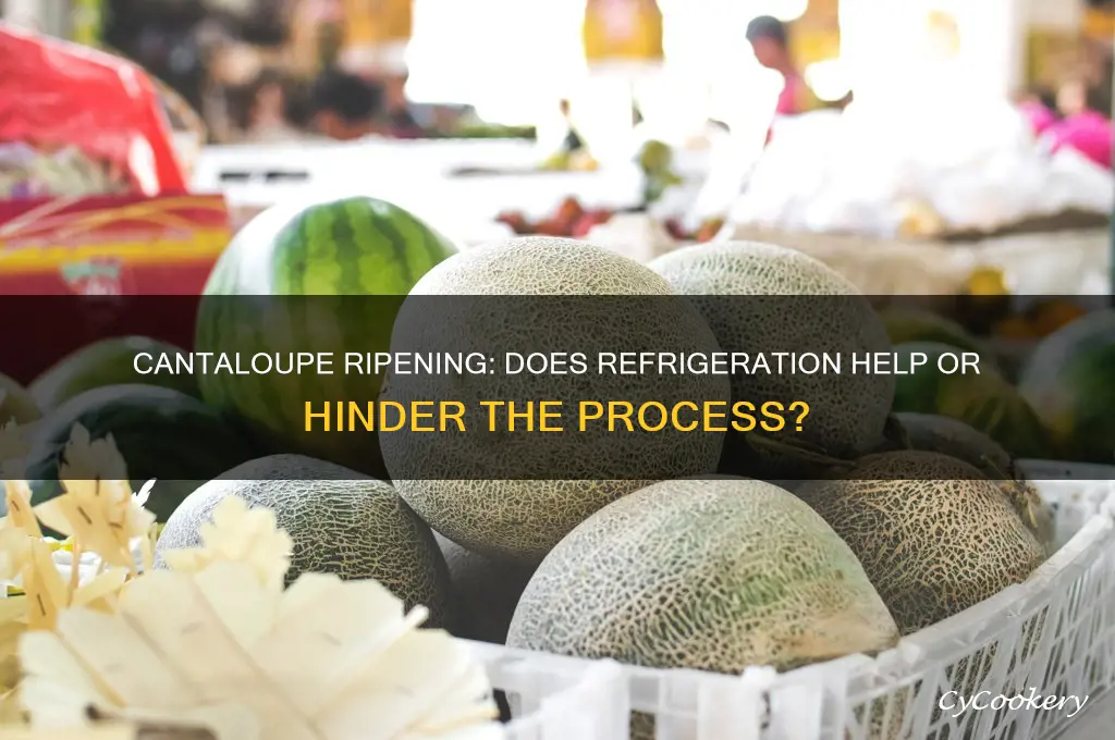 can a cantaloupe ripen in the refrigerator