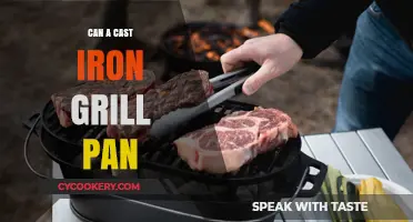 The Best Grill Pan: Cast Iron