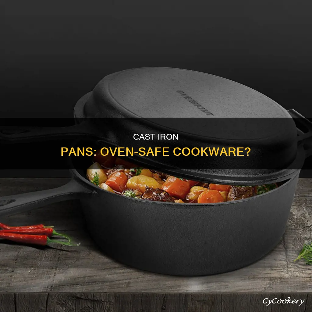 can a cast iron pan go in the oven