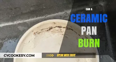 Ceramic Pans: Can They Burn?