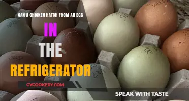 Can Refrigerated Eggs Hatch? The Truth About Chickens and Cold Storage