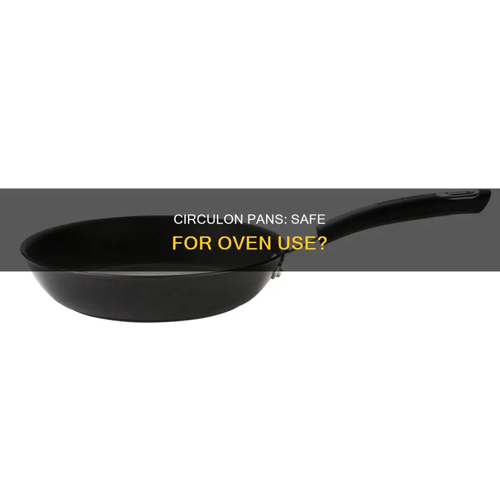 can a circulon pan go in the oven