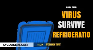 Can Cold Viruses Survive in Your Refrigerator? The Chilling Truth