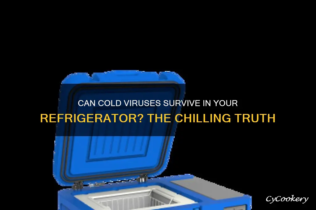 can a cold virus survive refrigeration