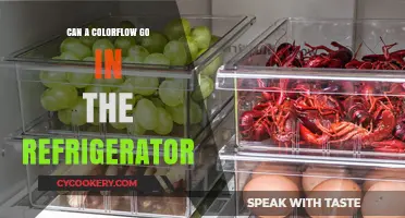 Can ColorFlow Be Refrigerated? A Guide to Proper Storage