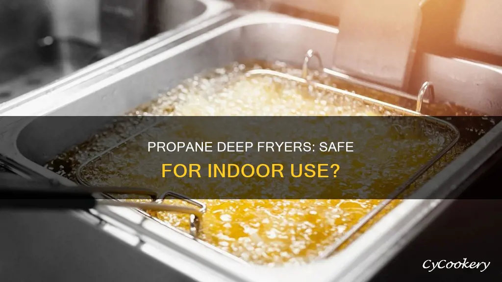 can a commercial grade propane deep fryer be used indoors