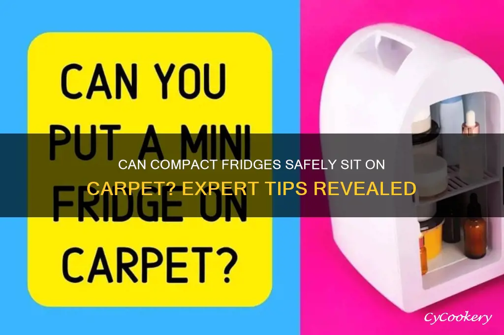 can a compact refrigerator be on carpet
