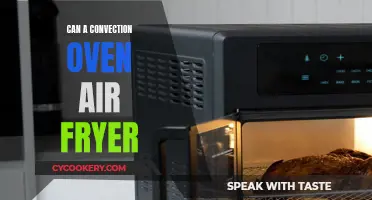 Convection Ovens: Air Fryer Capabilities Unveiled