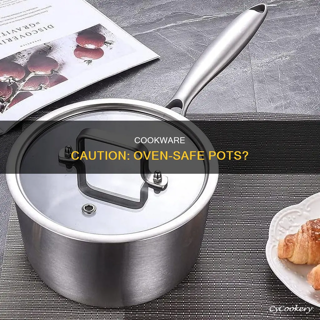 can a cooking pot go in the oven