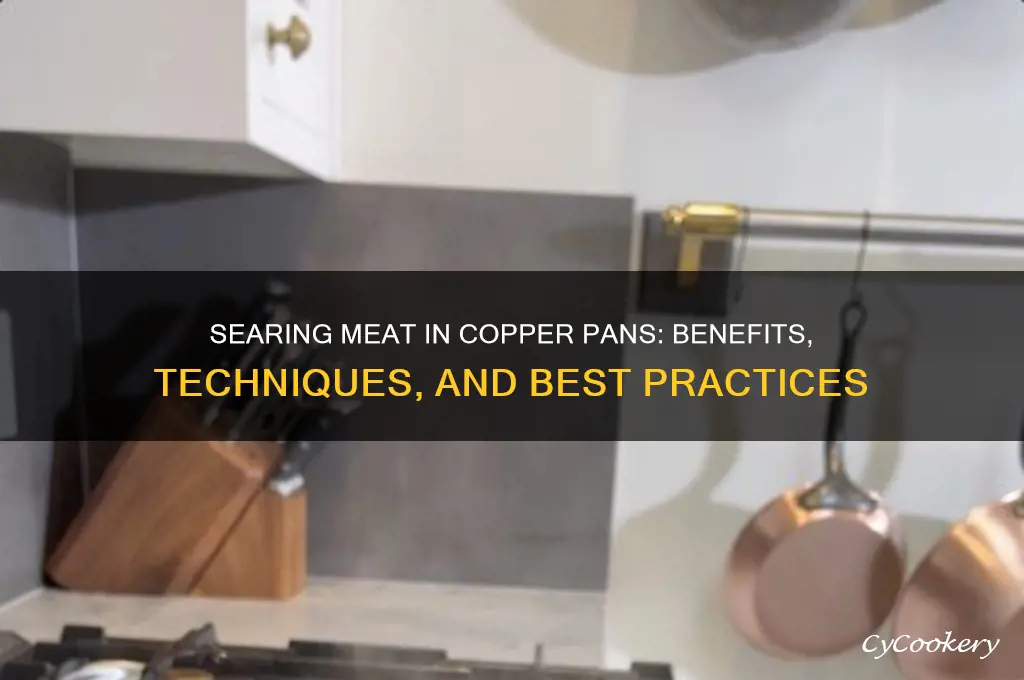 can a copper pan be used to sear meat