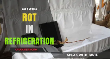 Can Corpses Decay in Refrigeration? Exploring the Science Behind Preservation