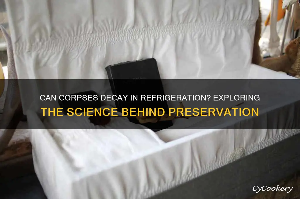 can a corpse rot in refrigeration