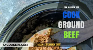 Crock Pot Cooking: Ground Beef Edition