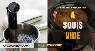Crock Pot vs Sous Vide: Similar Cooking Techniques?