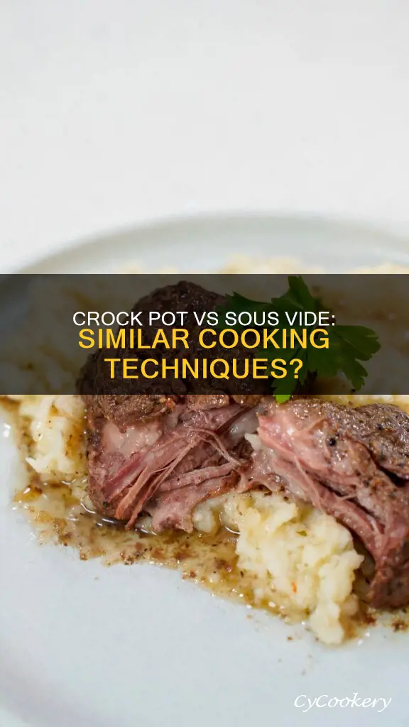 can a crock pot cook like a souis vide