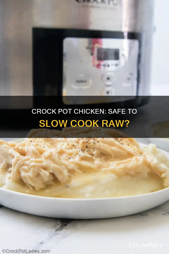 can a crock pot cook raw chicken