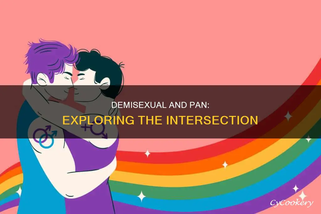 can a demisexual be pan