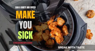 Dirty Air Fryer: A Health Risk or Harmless?