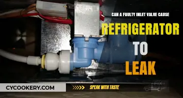 Faulty Inlet Valve: The Hidden Cause of Your Leaking Refrigerator?