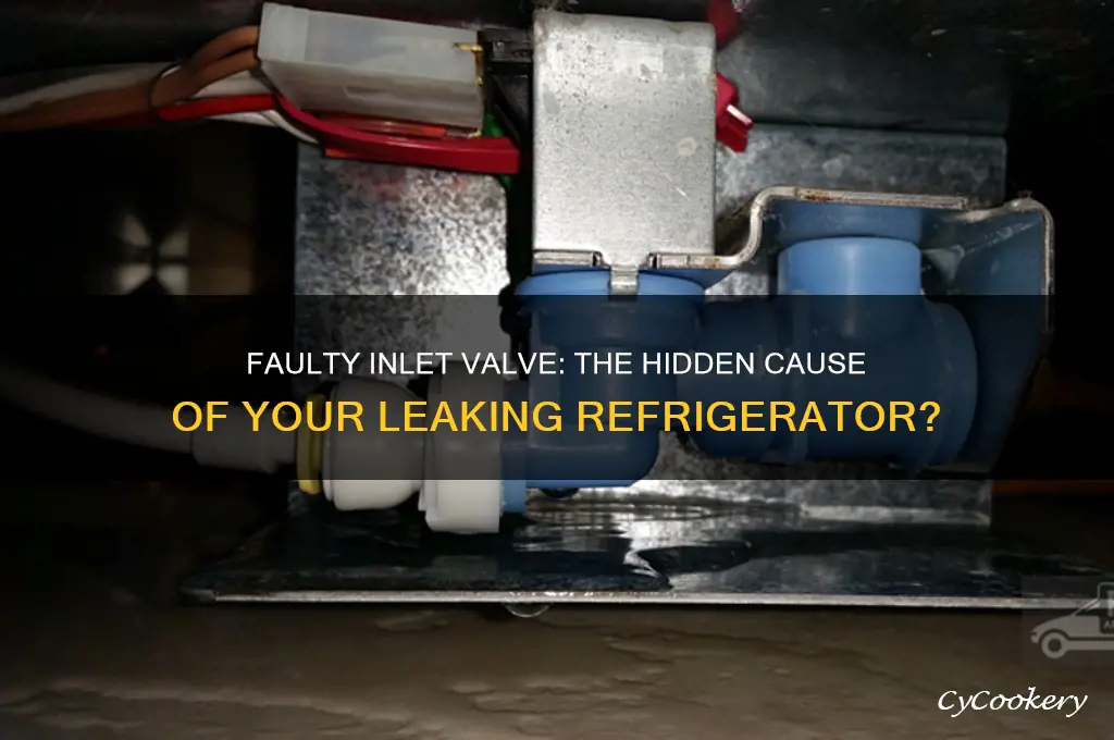 can a faulty inlet valve cause refrigerator to leak