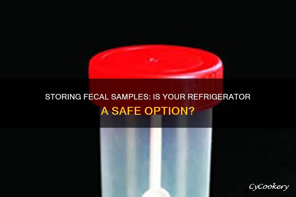 can a fecal sample be stored in the refrigerator