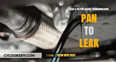 Clogged Filter: Transmission Pan Leak Culprit?