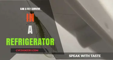 Can Flies Survive in a Refrigerator? Uncovering the Chilling Truth