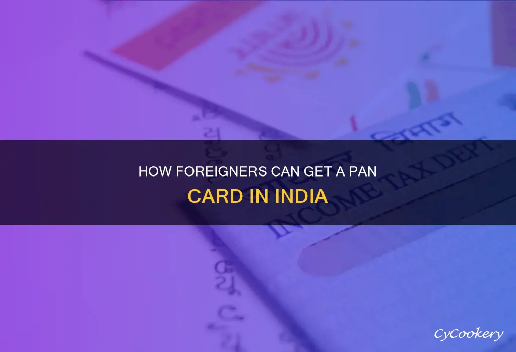 can a foreigner get pan card